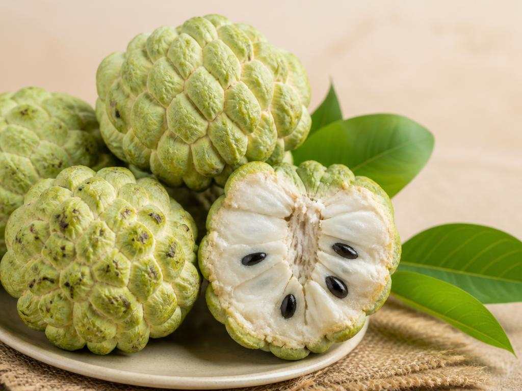 Custard Apple